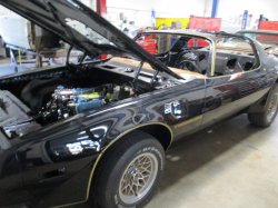 190104 79 Pontiac Trans Am (3).JPG